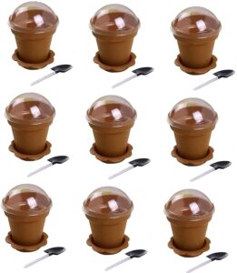healthcom 20 pcs 180ml ice cream dessert cup flowerpot cake cups with lids shovel scoop 20 sets flower pot cups mousse cake cups jelly yogurt cup salad bowls snack bowls container for party wedding
