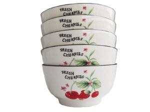 5 pack ceramic bowls with cherry pattern, 4.64" x 2.36" porcelain bowls, salad bowls ramen bowls for kitchen restaurant serving bowls, large capacity ceramic bowls, dishwasher safe & microwave safe