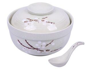 lldayu japanese creative hand-painted ceramic bowls with soup spoon, large 27.5 oz ramen bowls/soup bowls,with heat preservation function, and suitable for microwave oven, and dishwasher - cyan blue