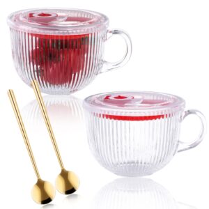 2 pack glass soup bowl with lids glass cereal bowl with spoon handle clear coffee mug 15 oz oatmeal bowl microwave safe breakfast bowls yogurt bowl for latte dessert beverage tea soup cereals fruits