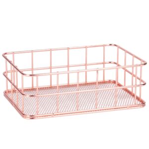 Wrought Iron Storage Basket - Desktop Organizer Container - for Kitchen Cabinets, Pantry, Bathroom - 2 Pack,Rose Gold(Small)