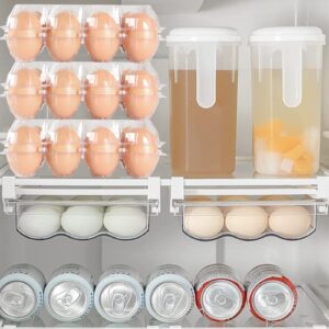 SENENQU 40 Pack Egg Cartons Cheap Bulk, 1 Dozen Clear Egg Cartons, Plastic Egg Carton Bulk Chicken Egg Tray Holder Egg Tray for Family Pasture Farm Market (3×4 Grids, 12 Eggs)