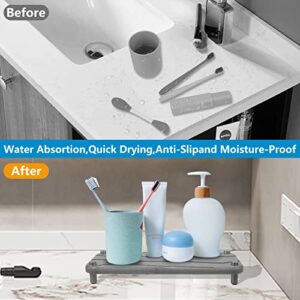 TGIFGO Instant Dry Sink Organizer Kitchen Sink Caddy Fast Drying Stone Sink Tray Bathroom Organizer with Stainless Steel Feet Natural Diatomaceous Prevent Moisture Buildup