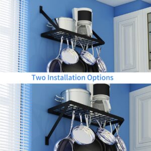 Hoooh Square Grid Wall Mount Pot Rack Storage Shelf with 10 Hooks, Kitchen Cookware Hanging Organizer, Black, KPR301A-BK