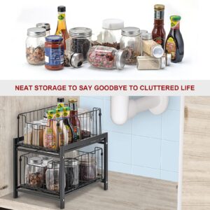 XCELLENT GLOBAL XG 2 Tier Under Sink Kitchen Organizer with Pull-Out Sliding Basket Drawer, Cabinet Organizers and Storage for Kitchen, Bathroom, Cabinet HG659