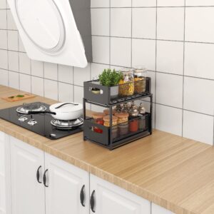 2 Tier Under Sink Cabinet Organizer with Sliding Storage Drawer, Pull Out Organizer for Kitchen Bathroom Office