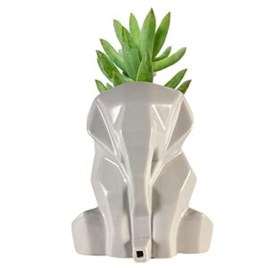 lumi small succulent pot with drainage (6.3 inches) - cute ceramic pots for flowers, bosnai and cactus -planter for indoor plants - nice home decor idea