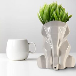 LUMI Small Succulent Pot with Drainage (6.3 Inches) - Cute Ceramic Pots for Flowers, Bosnai and Cactus -Planter for Indoor Plants - Nice Home Decor Idea