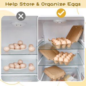 100 Pieces Paper Pulp Egg Cartons 3x4 Style Vintage Blank Egg Cartons for Chicken Eggs Reusable Egg Containers Egg Holder Countertop for Fresh Duck Quail Eggs Storage Kitchen Family Farmhouse