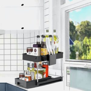 WAYLHECT Under Sink Organizer,2 Tier Under Bathroom Sink Organizers and Storage for Kitchen, Bathroom Black