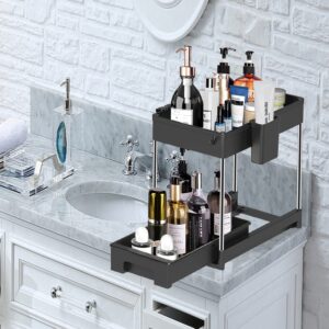 WAYLHECT Under Sink Organizer,2 Tier Under Bathroom Sink Organizers and Storage for Kitchen, Bathroom Black