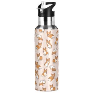 alaza cute little corgi dogs water bottle with straw lid vacuum insulated stainless steel thermo flask water bottle 32oz