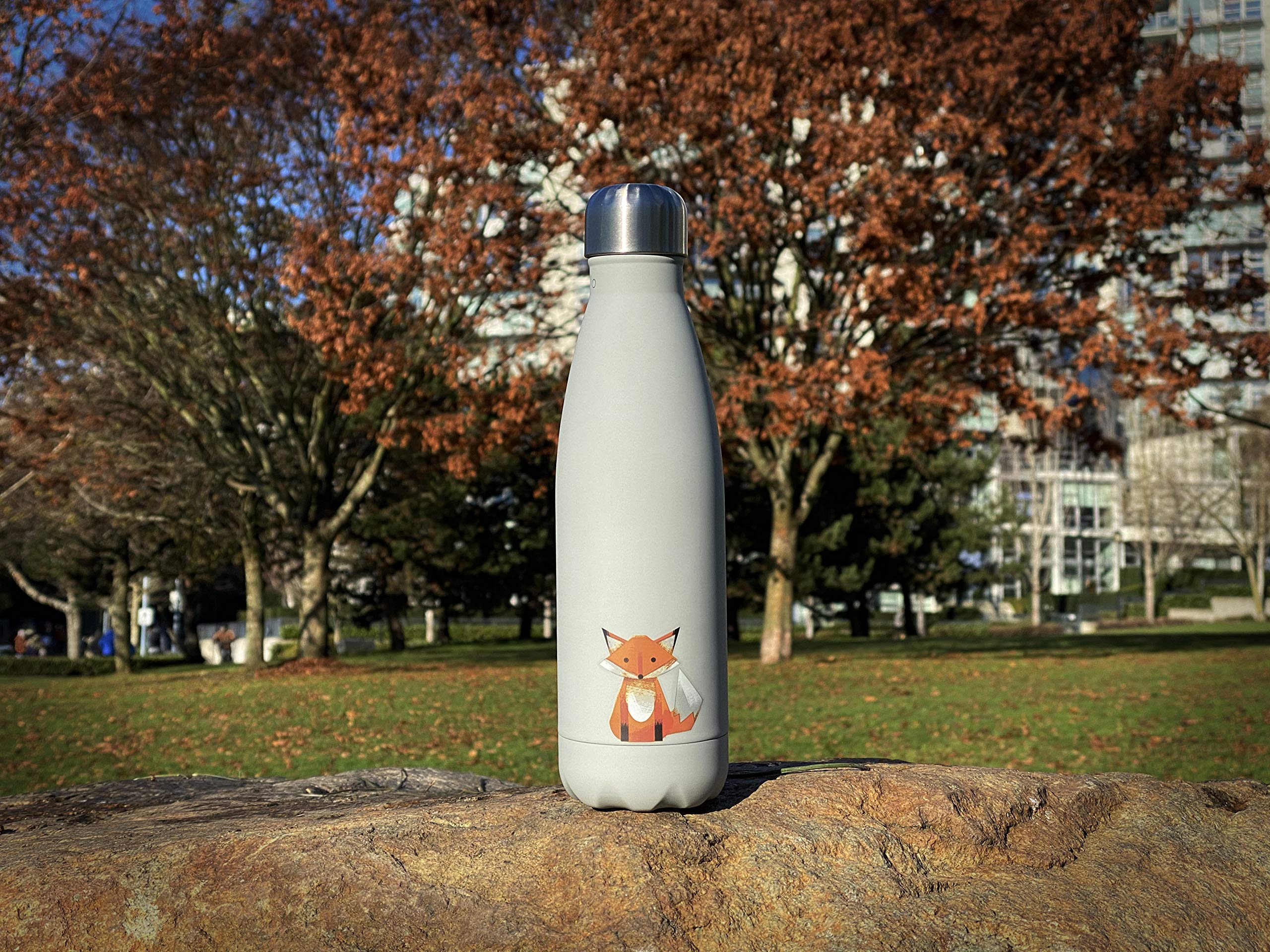 smållo | Water Bottle with Cute Fox Design | Stainless Steel | Double Wall Insulated | Grey | 17oz