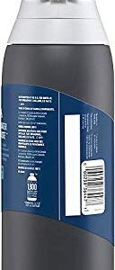 Brita Stainless Steel Premium Filtering Water Bottle, BPA-Free, Replaces 300 Plastic Water Bottles, Filter Lasts 2 Months or 40 Gallons, Includes 1 Filter, Kitchen Accessories, Carbon - 20 oz.