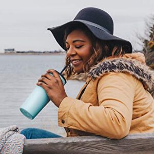 Simple Modern Disney Character Insulated Tumbler Cup with Flip Lid and Straw Lid | Reusable Stainless Steel Water Bottle Iced Coffee Travel Mug | Classic Collection | 16oz Minnie Mouse on Blush