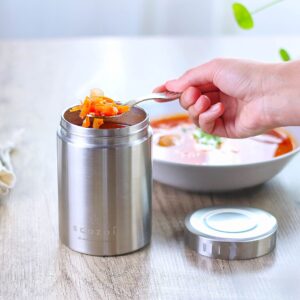 ecozoi Stainless Steel Insulated Lunch Box, Food Jar - Vacuum Insulated Thermos, 17 Oz + Spork + Lunch Bag
