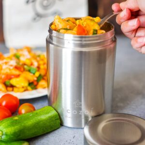 ecozoi Stainless Steel Insulated Lunch Box, Food Jar - Vacuum Insulated Thermos, 17 Oz + Spork + Lunch Bag