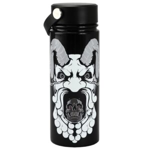 Dungeons and Dragons Stainless Steel 17 Oz Water Bottle