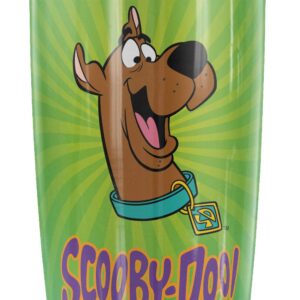 Scooby-Doo Burst Stainless Steel Tumbler 20 oz Coffee Travel Mug/Cup, Vacuum Insulated & Double Wall with Leakproof Sliding Lid