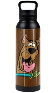 scooby doo! official scooby happy 24 oz insulated canteen water bottle, leak resistant, vacuum insulated stainless steel with loop cap