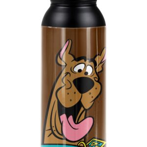 Scooby Doo! OFFICIAL Scooby Happy 24 oz Insulated Canteen Water Bottle, Leak Resistant, Vacuum Insulated Stainless Steel with Loop Cap