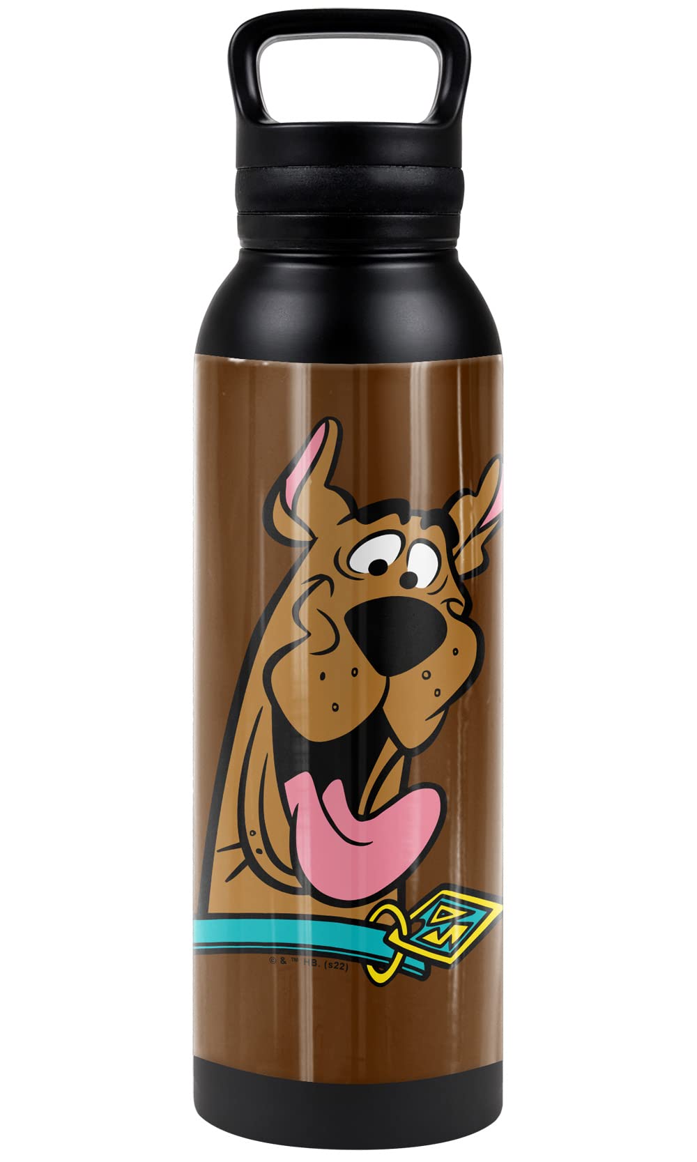 Scooby Doo! OFFICIAL Scooby Happy 24 oz Insulated Canteen Water Bottle, Leak Resistant, Vacuum Insulated Stainless Steel with Loop Cap