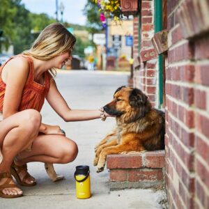 Hydro Flask Stainless Steel Coffee Travel Mug - 20 oz, Watermelon