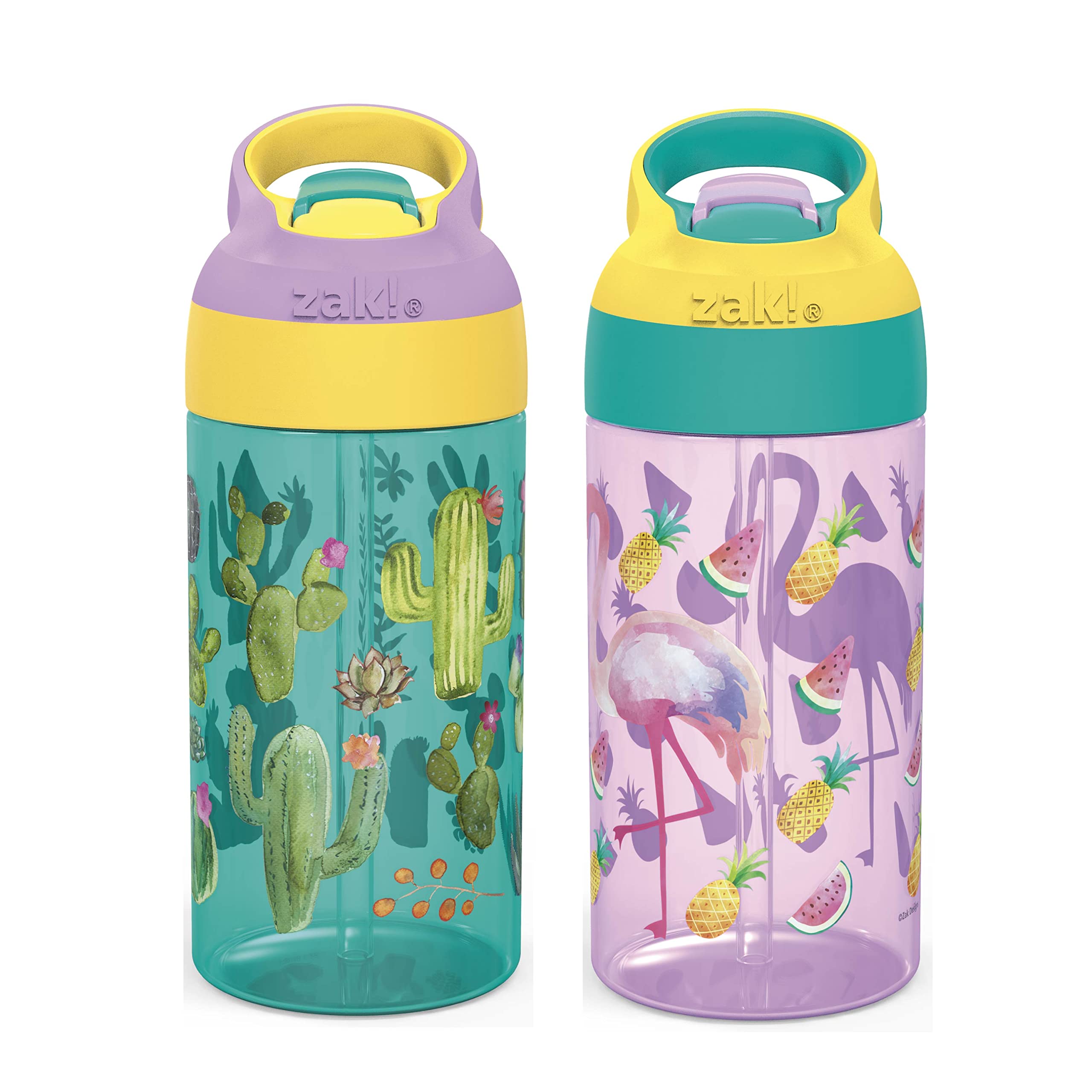 Zak Designs 16oz Riverside Desert Life and Disney Frozen 2 Kids Water Bottles with Straws and Built in Carrying Loops, 4pc Set