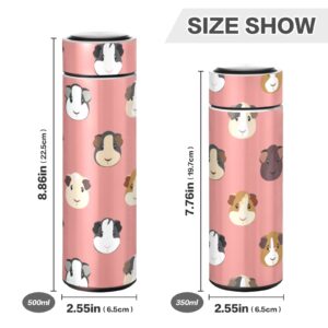 Glaphy Cartoon Guinea Pig Pink Water Bottle, BPA-Free, Stainless Steel, 17 oz Insulated Water Bottles Kids, for School, Office, Gym, Sports, Travel, 500ml