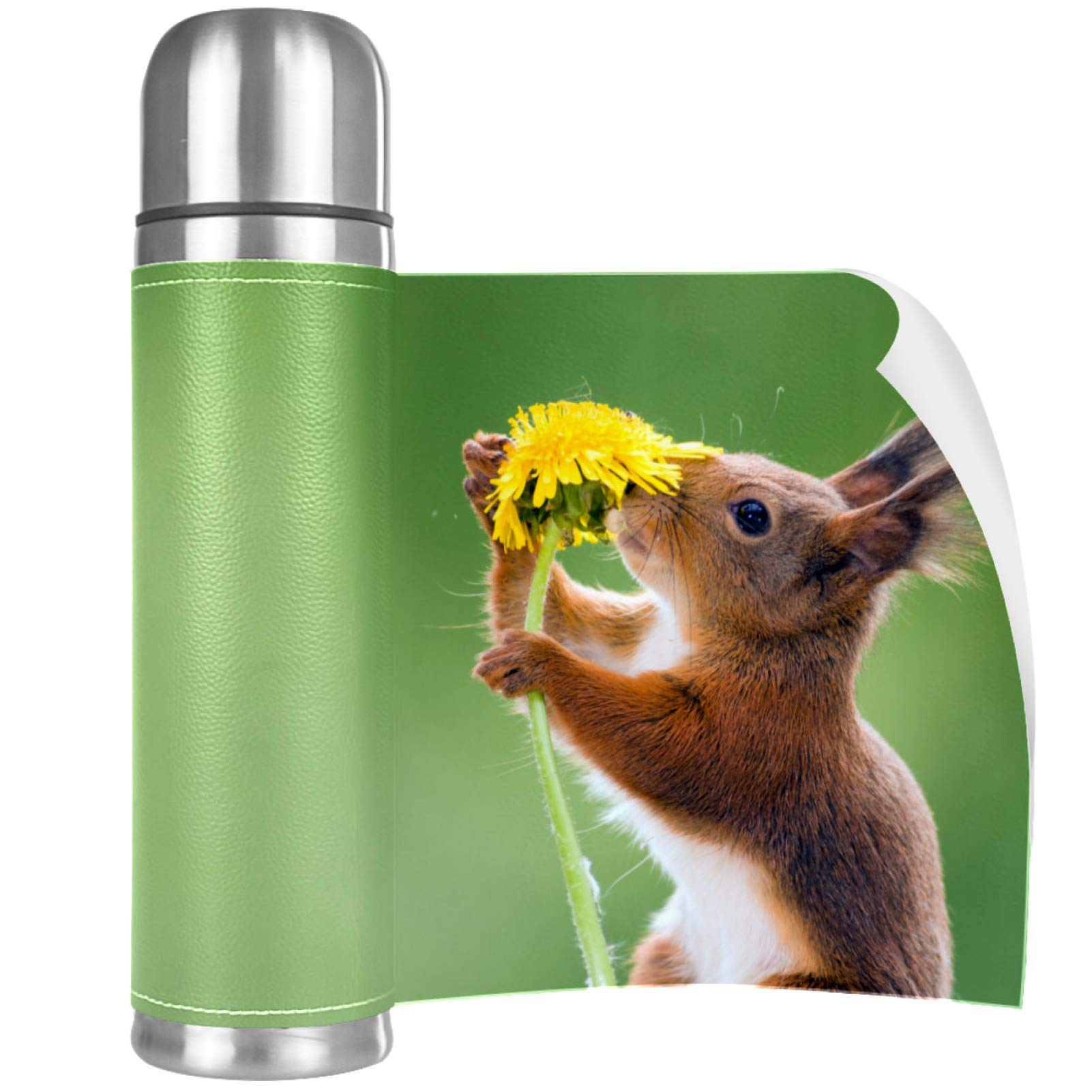 Stainless Steel Vacuum Insulated Mug, Red Squirrel Green Print Thermos Water Bottle for Hot and Cold Drinks Kids Adults 17 Oz