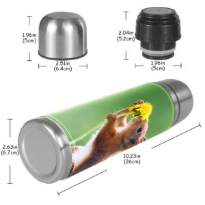 Stainless Steel Vacuum Insulated Mug, Red Squirrel Green Print Thermos Water Bottle for Hot and Cold Drinks Kids Adults 17 Oz