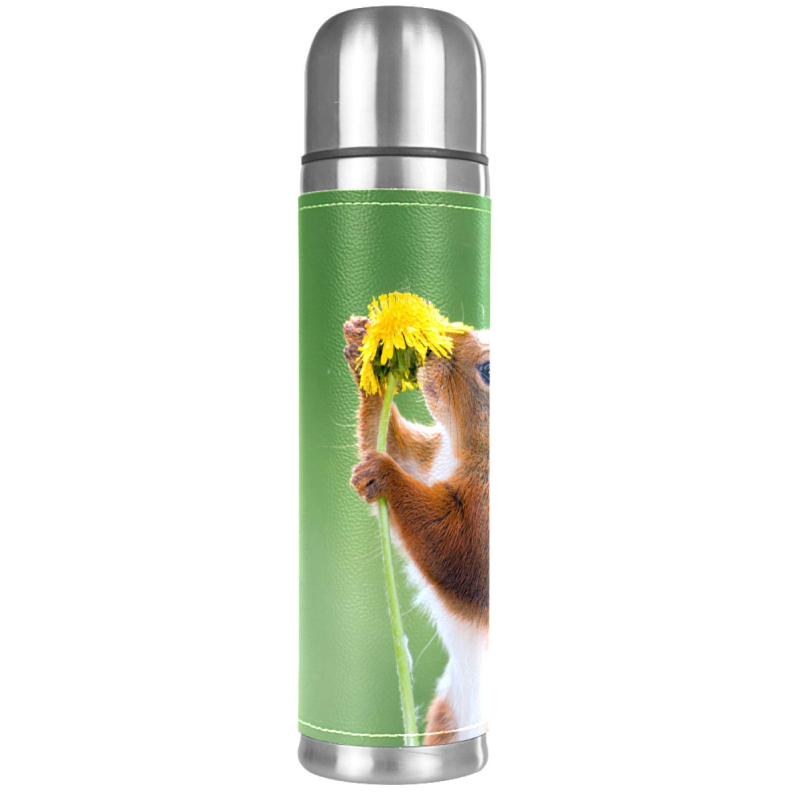 Stainless Steel Vacuum Insulated Mug, Red Squirrel Green Print Thermos Water Bottle for Hot and Cold Drinks Kids Adults 17 Oz