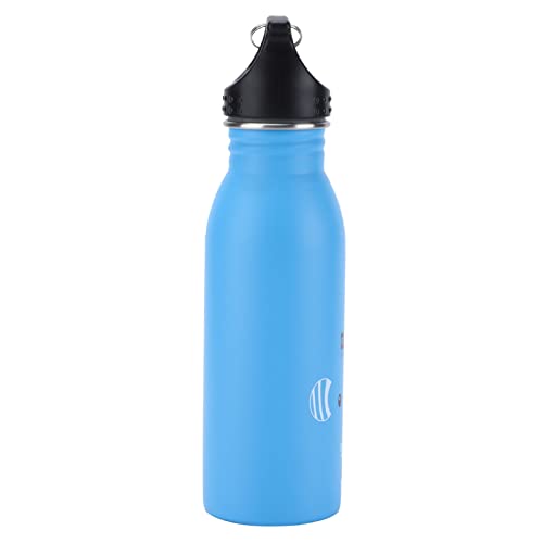 Atyhao Cartoon Water Bottle, Food Grade 500ml Cute Insulated Water Bottle Prevent Leakage Stainless Steel Portable for Climbing for Travel(#1)