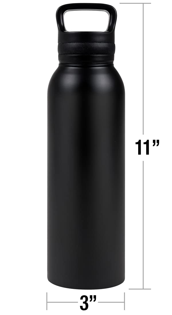 Black Adam OFFICIAL Character Bolt Black 24 oz Insulated Canteen Water Bottle, Leak Resistant, Vacuum Insulated Stainless Steel with Loop Cap