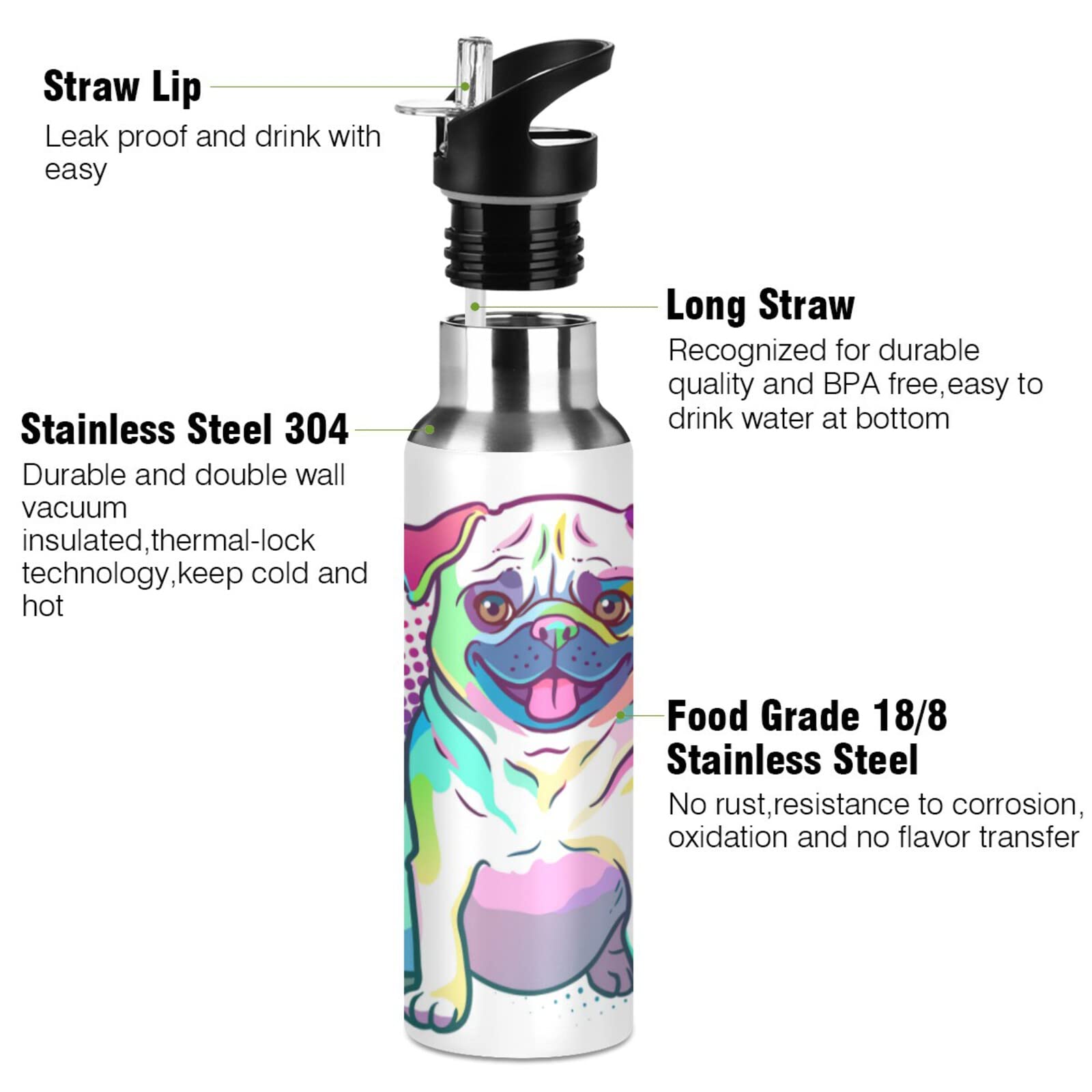 Oarencol Colorful Pug Dog Water Bottle Rainbow Animal Polka Dot Stainless Steel Vacuum Insulated with Straw Lid 20 Oz