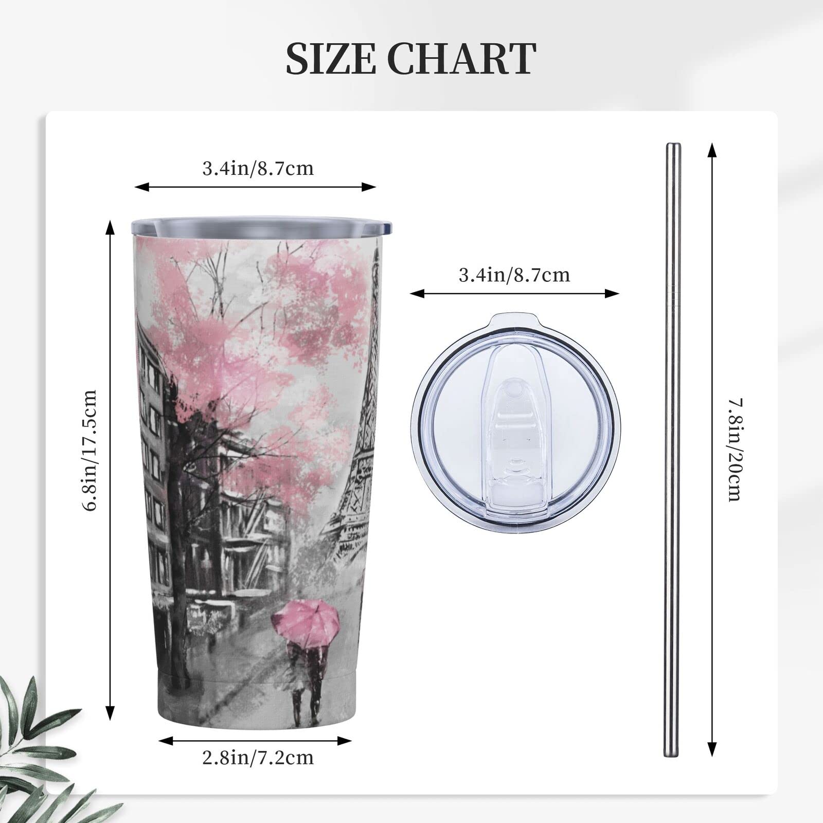 Dujiea 20oz Tumbler With Lid And Straw, Eiffel Tower Pink Lovers In Paris Vacuum Insulated Iced Coffee Mug Reusable Travel Cup Stainless Steel Water Bottle