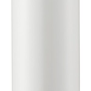 Tiger Stainless Mini Bottle 0.3L White Tiger Sahara Mug Bottle (MUJURYOKU) MMX-A030-WW