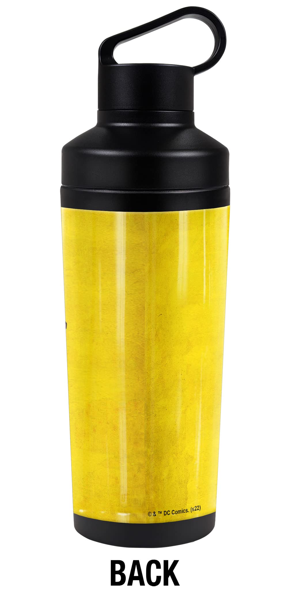 DC Flash OFFICIAL Character 18 oz Insulated Water Bottle, Leak Resistant, Vacuum Insulated Stainless Steel with 2-in-1 Loop Cap