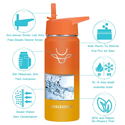 STACEGEELE Insulated Vacuum Water Bottle for Kids with Straw Lid Stainless Steel Flask Thermos for Boys and Girls Leak Proof Lightweight Eco Friendly 18oz(550ml), Orangeade