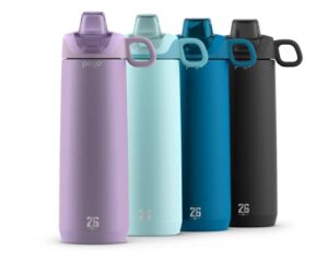 pogo active stainless steel insulated water bottle with leak proof straw lid, 26oz, lilac