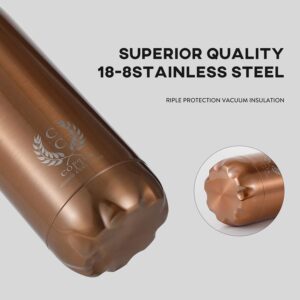 Stainless Steel Double Walled Water Bottle, Vacuum-Insulated Water Thermos 750 ML Copper