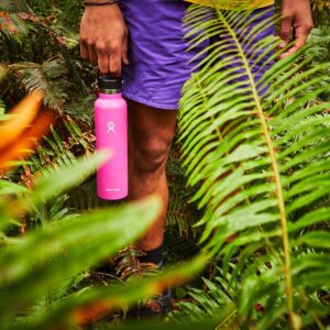 Hydro Flask Standard Mouth Bottle with Flex Cap