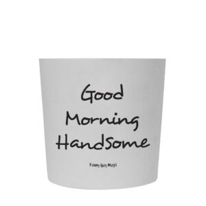 Funny Guy Mugs Good Morning Handsome Travel Tumbler With Removable Insulated Silicone Sleeve, White, 16-Ounce