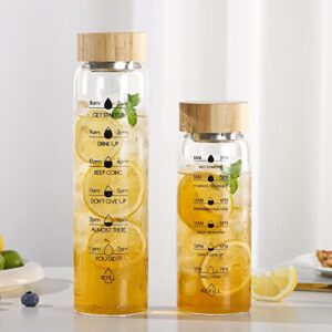 ZDZDZ Large Glass Water Bottle with Bamboo Lid, 33oz Travel Water Bottle with Time Marker and Rmovable Infuser, Glass Tea Infuser Bottle for Tea Milk Coffee Lemonade