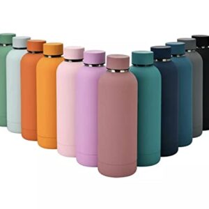 Water Bottle Sport matte Vacuum Flask double walled insulated 500ml stainless steel vacuum