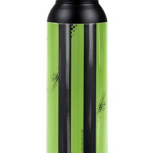 Beetlejuice OFFICIAL Beetle Worm 24 oz Insulated Canteen Water Bottle, Leak Resistant, Vacuum Insulated Stainless Steel with Loop Cap, Black