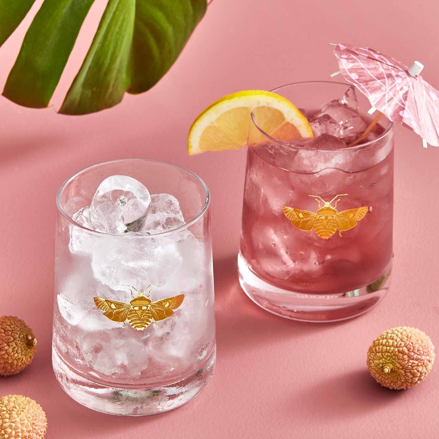 Spode Creatures of Curiosity Collection Double Old-Fashioned Glasses Set of 2, 11-Ounce, Glass Tumbler, Gold Moth Detail, Use for Whiskey, Bourbon, or Cocktails