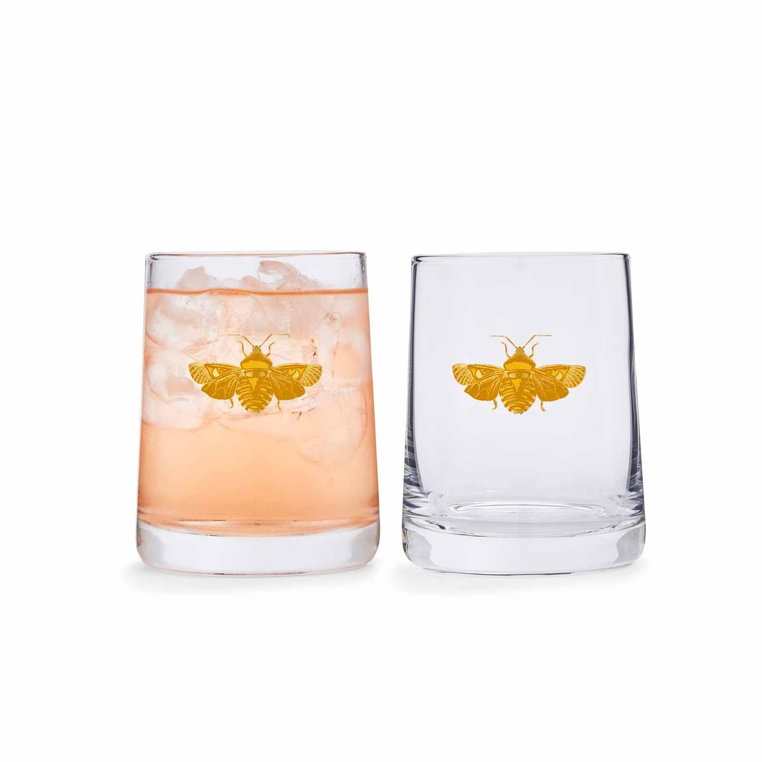 Spode Creatures of Curiosity Collection Double Old-Fashioned Glasses Set of 2, 11-Ounce, Glass Tumbler, Gold Moth Detail, Use for Whiskey, Bourbon, or Cocktails