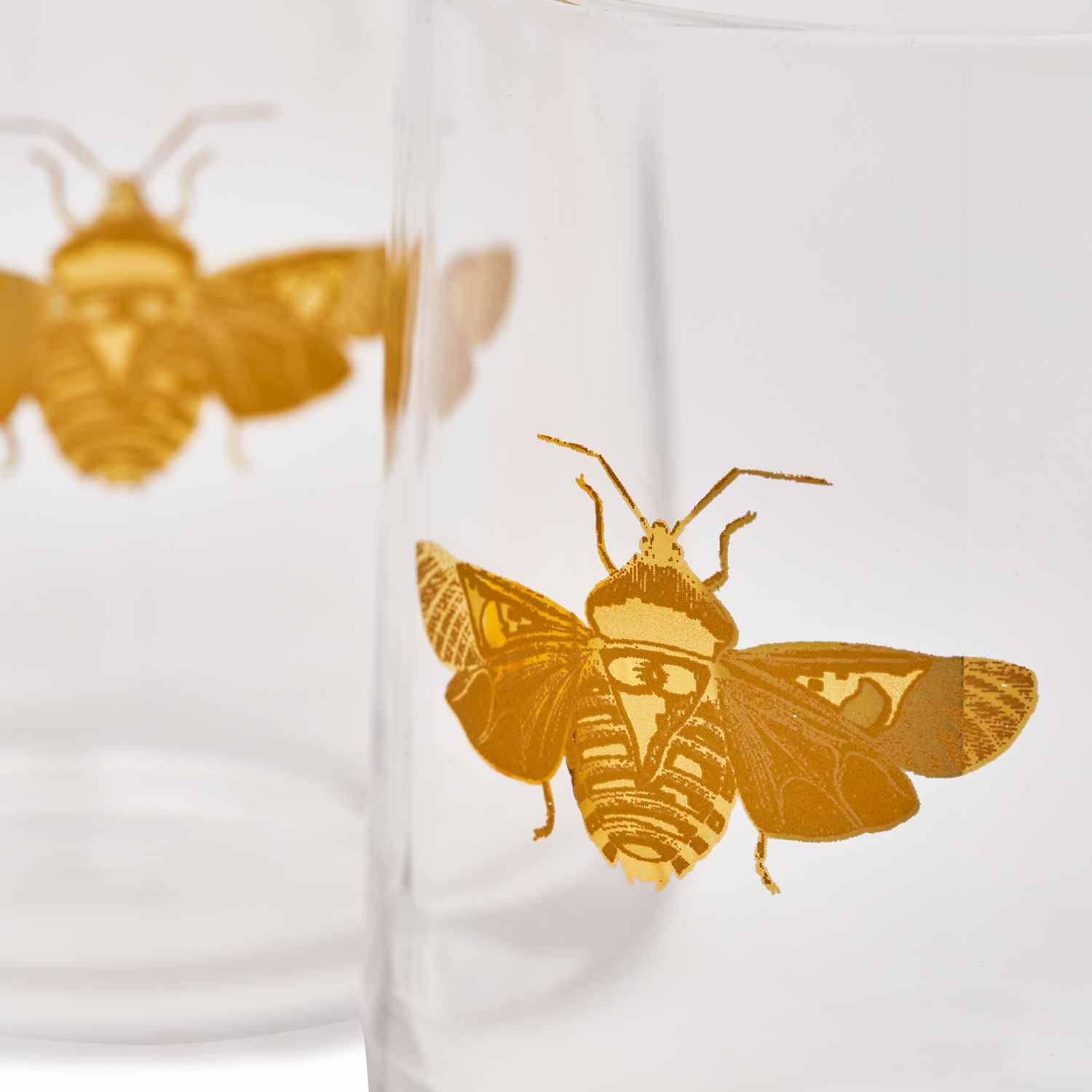 Spode Creatures of Curiosity Collection Double Old-Fashioned Glasses Set of 2, 11-Ounce, Glass Tumbler, Gold Moth Detail, Use for Whiskey, Bourbon, or Cocktails