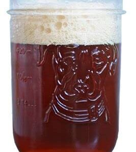 Beer Snob Barware Lagunitas Signature Mason Jar - 16 Ounce - Set of 4